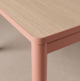 Nuanza meeting table starter element