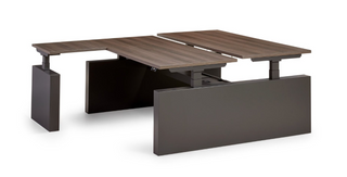  le module d’extension Flex 3+