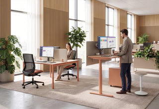 Nuanza electric sit-stand desk