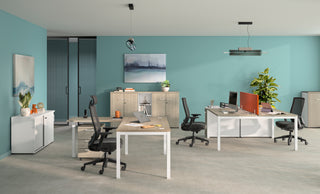 Sfeerbeeld van Buronomic Quietude kasten met draaideuren in wire oak in een kantoor met turquoise muur