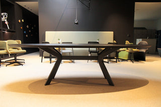 Albert Conference  table Showroom model